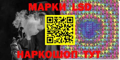 дмт Новокубанск