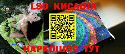 дмт Новокубанск