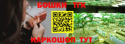 дмт Новокубанск