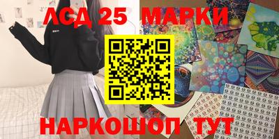 дмт Новокубанск