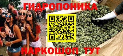дмт Новокубанск