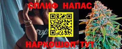 дмт Новокубанск
