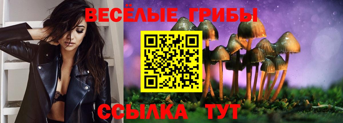 Галлюциногенные грибы прущие грибы Торжок