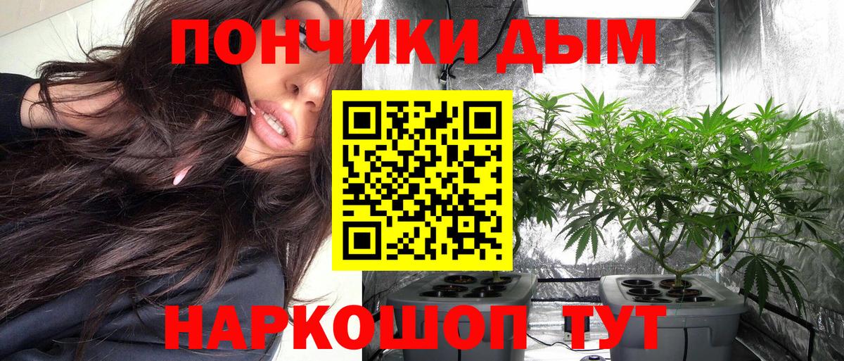 Канабис семена  Конопля индика  Бошки марихуана MAZAR  Вход с VPN  Торжок  Каннабис семена 